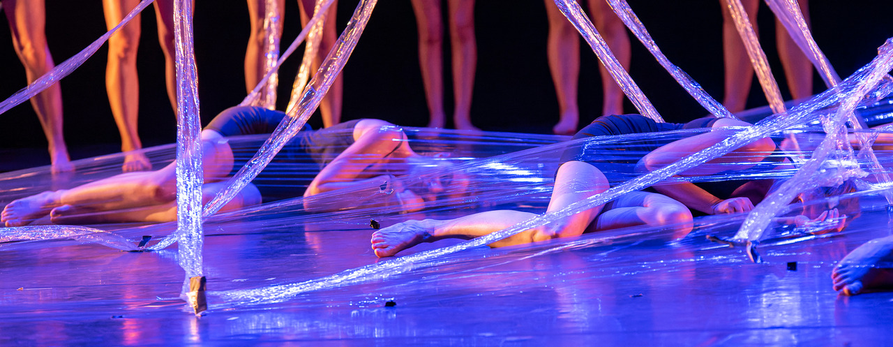 Sylviane legris- temps danse-representation samedi 17