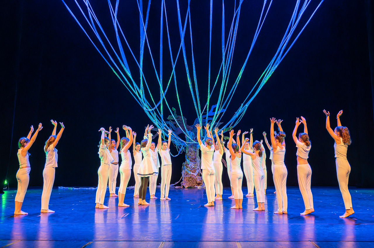 Sylviane legris- temps danse-representation samedi 145