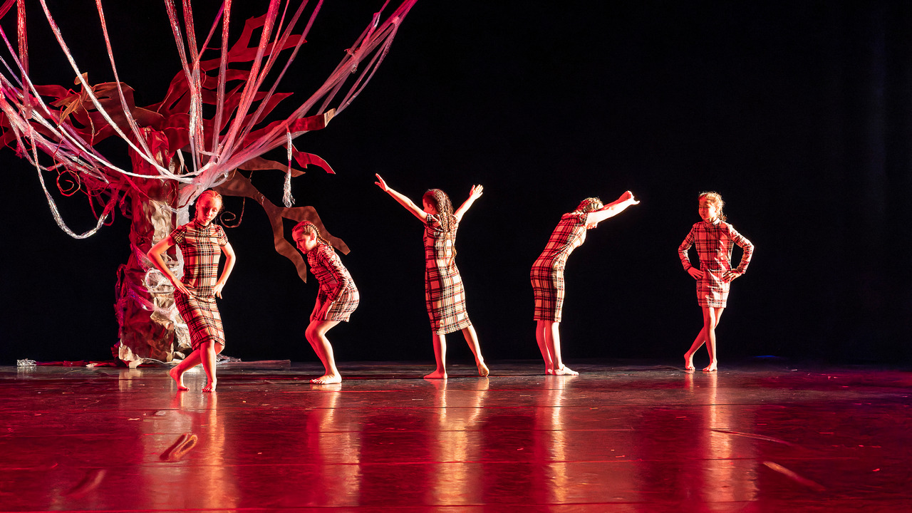 Sylviane legris- temps danse-representation samedi 241