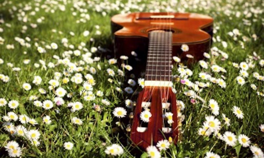 Guitare-nature-1000x600