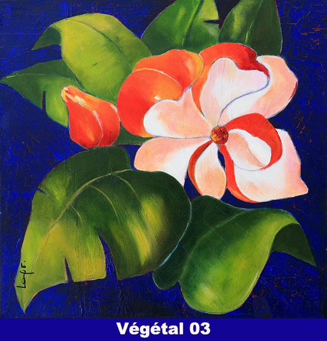 Vegetal-03
