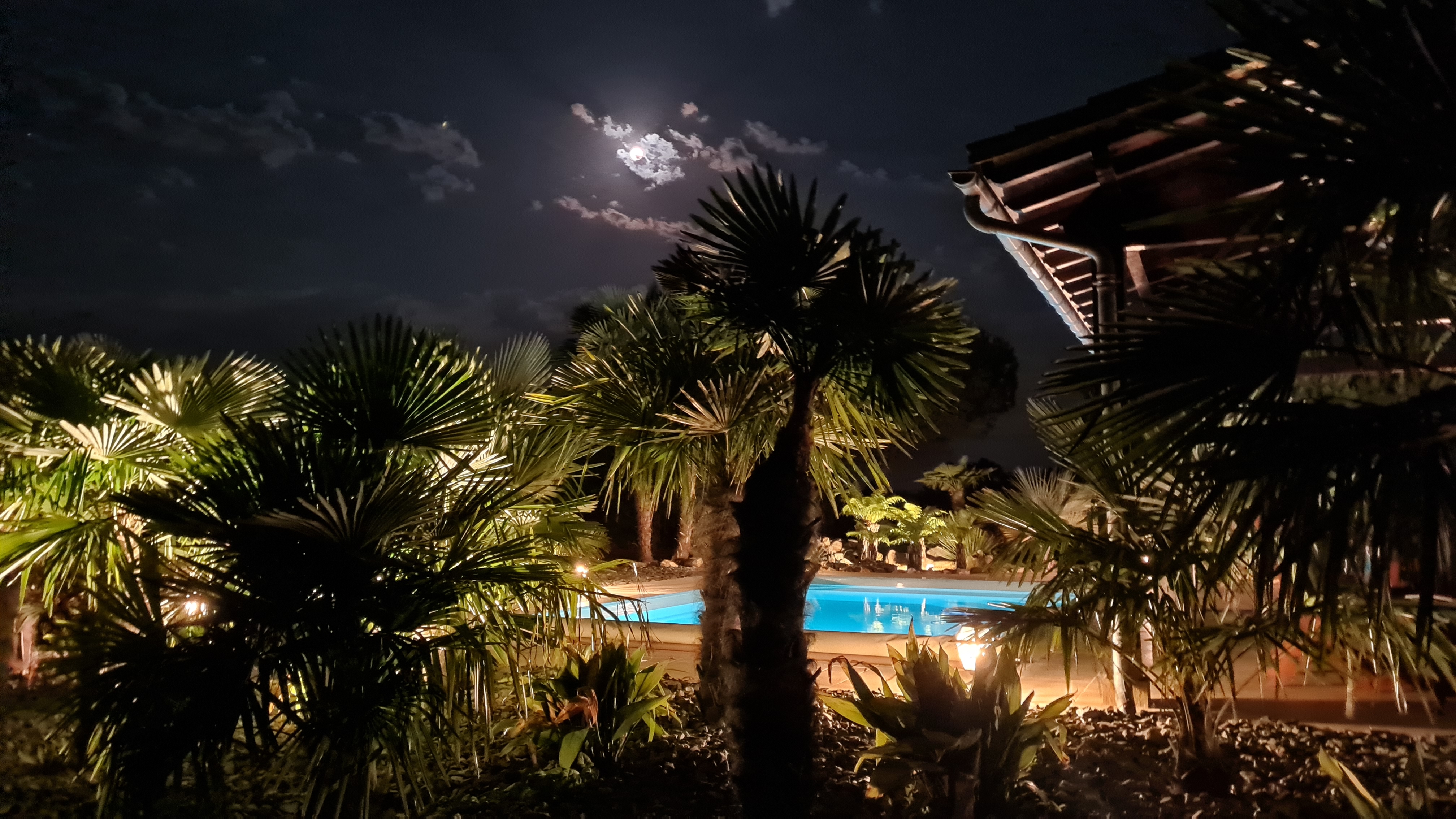 Jardin piscine 4