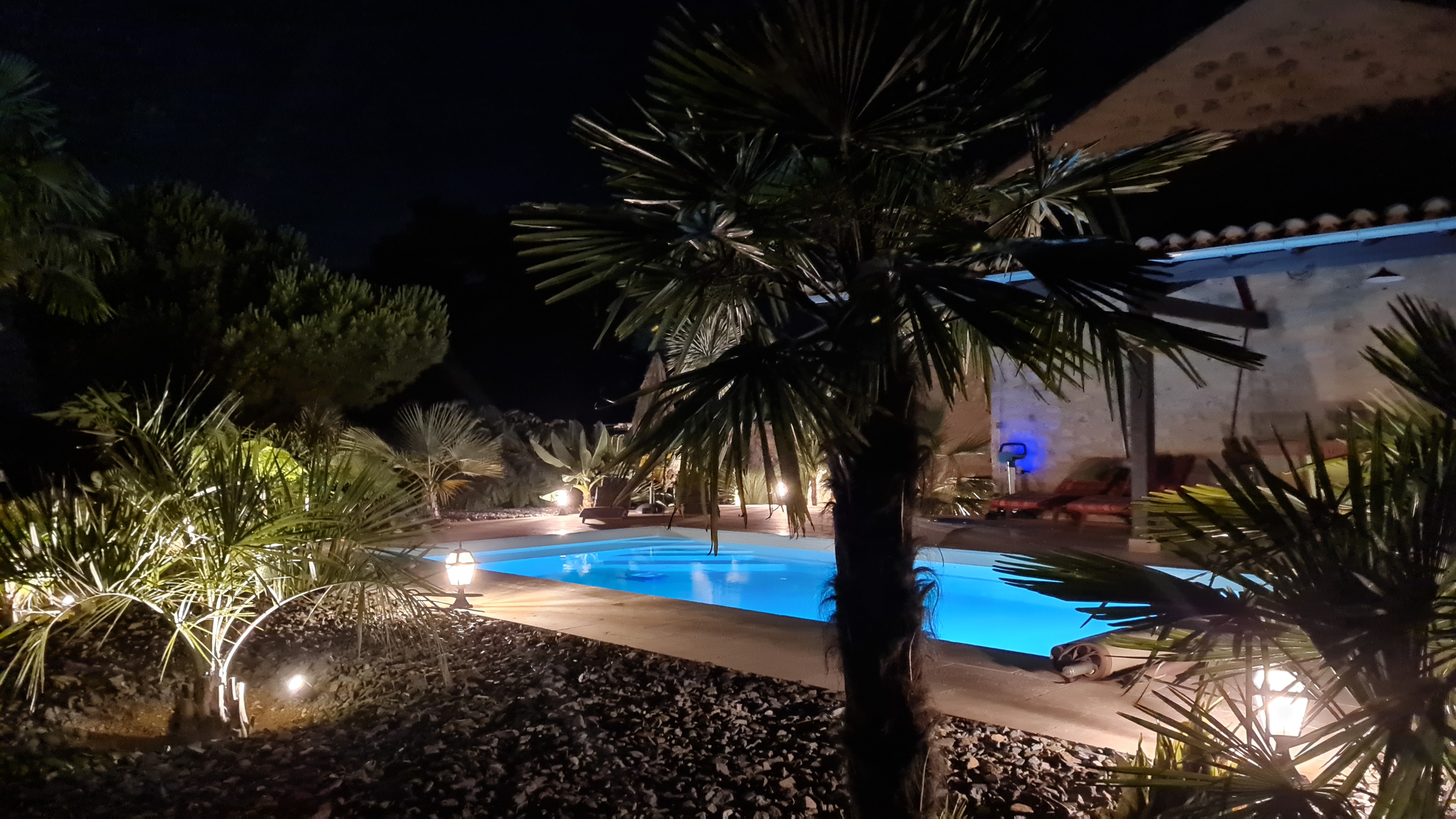 Jardin piscine 3