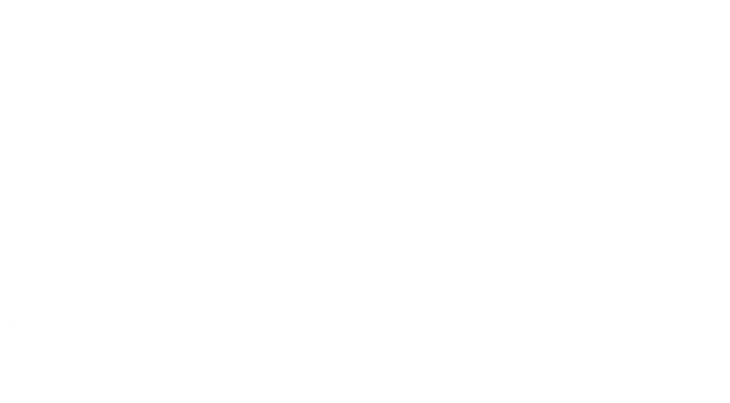 32831-ffffff