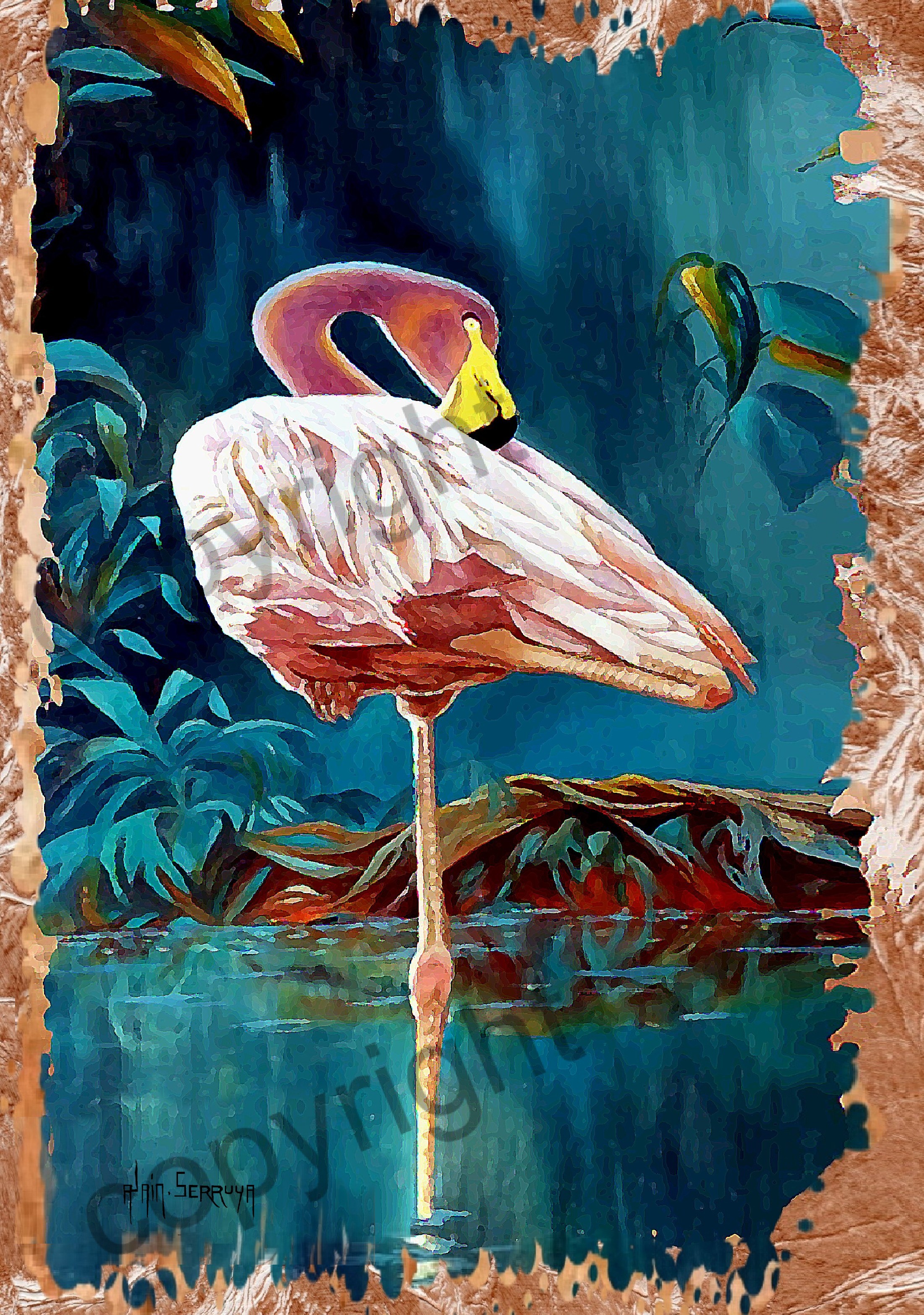 2 flamand rose a