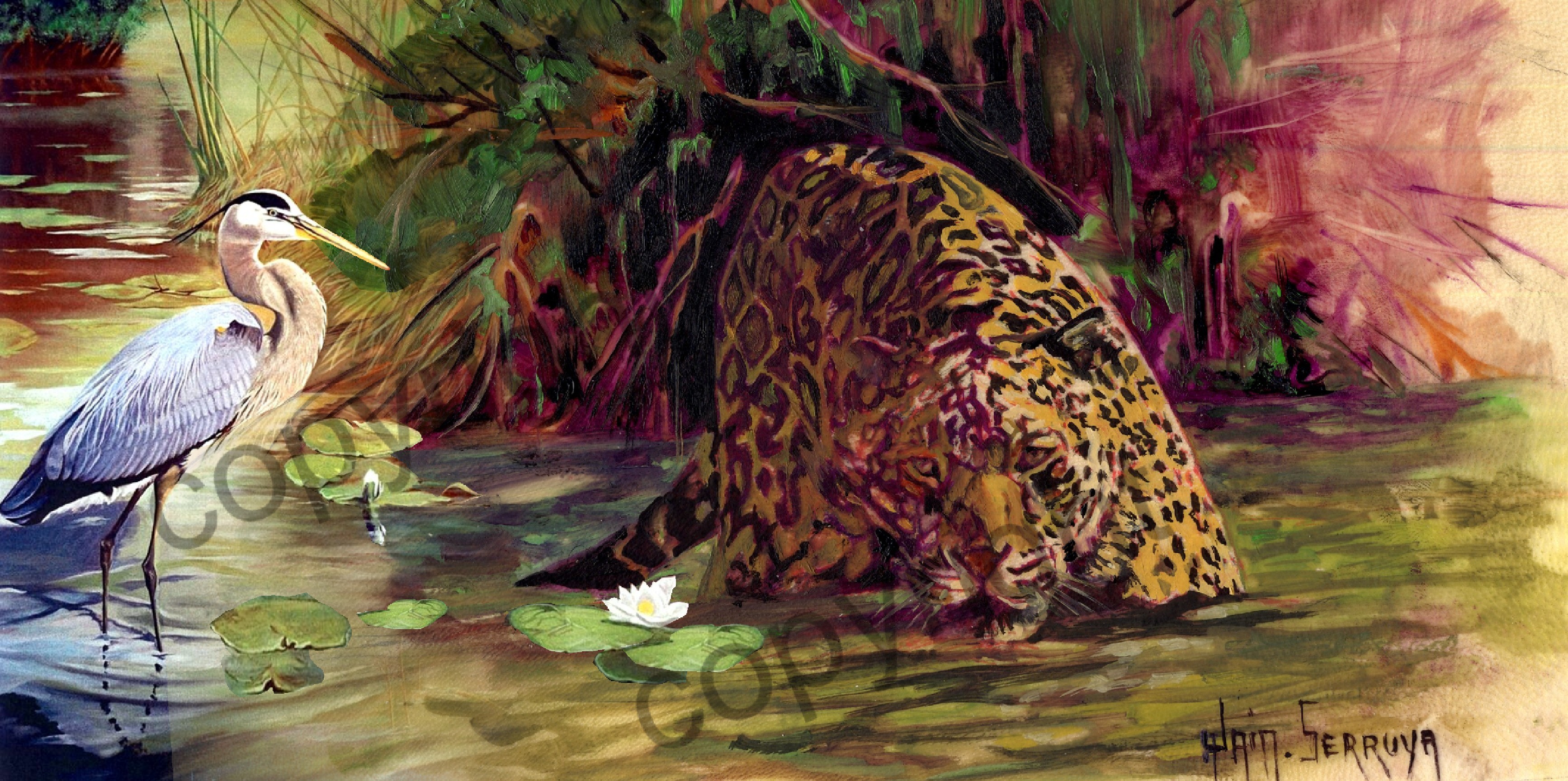 1 la vie des animaux