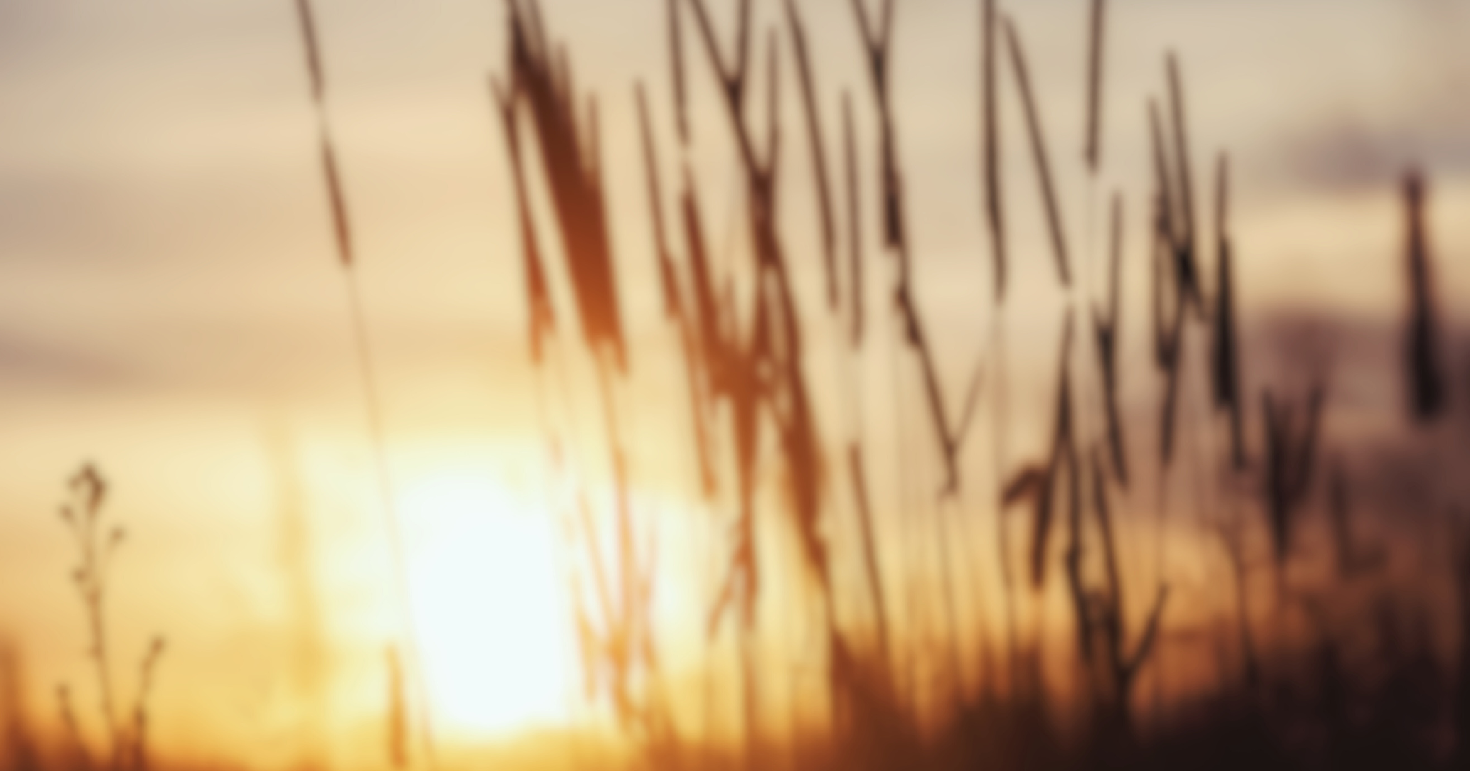 Herbes-flous-1