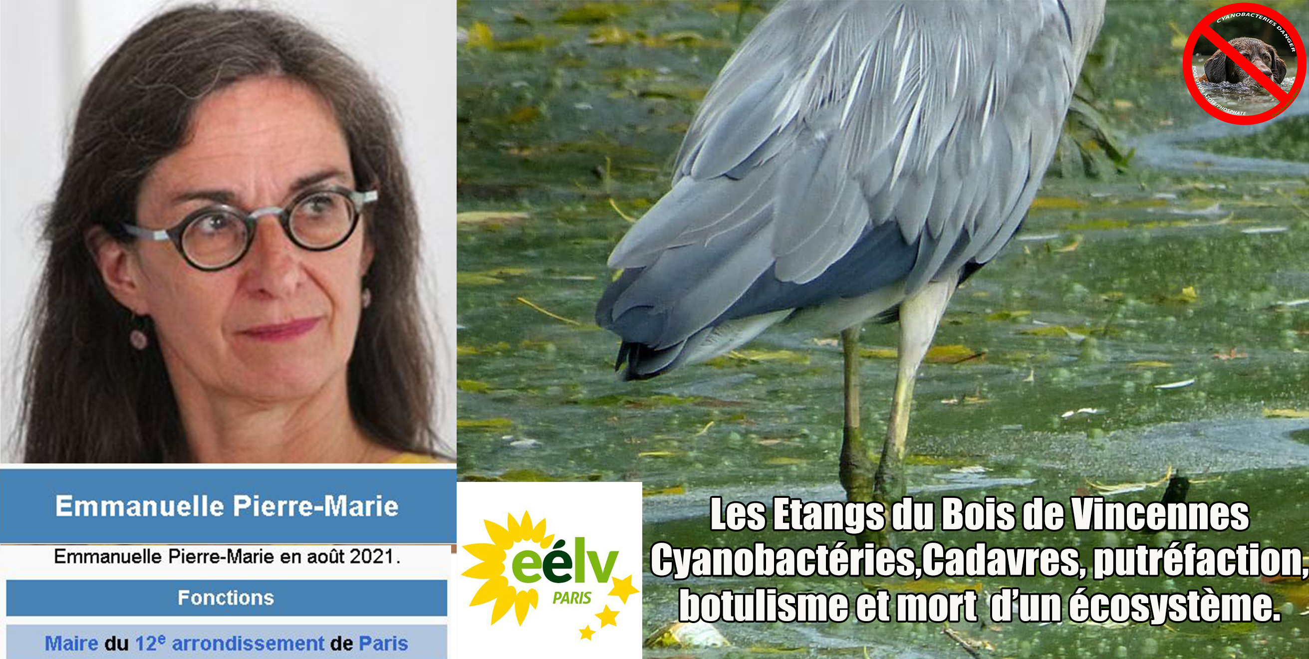 Le regard méprisant du maire EELV devant la Mort d’un écosystème,l'exposition à des cancers,… 