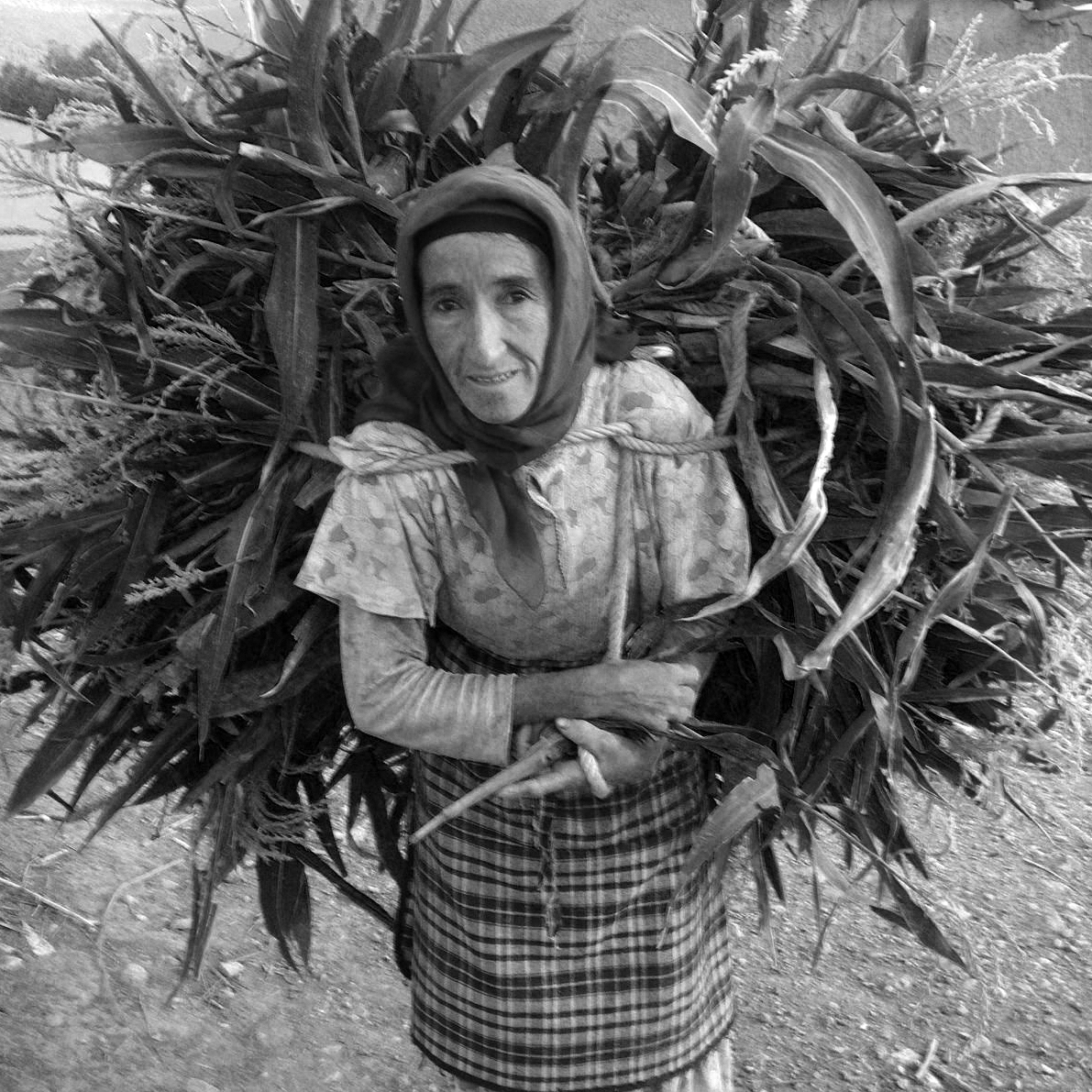 Formaroc 2023 57