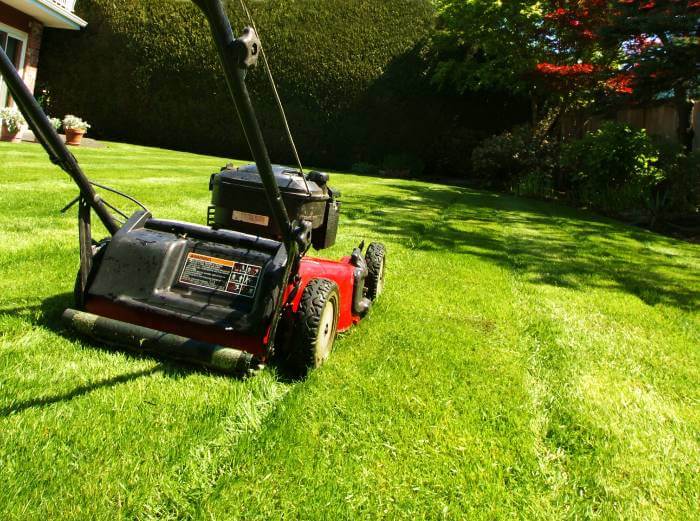 Cout tonte pelouse jardinier