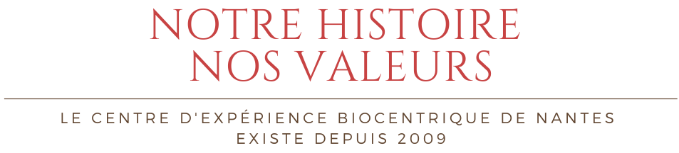 Notre-histoire-nos-valeurs