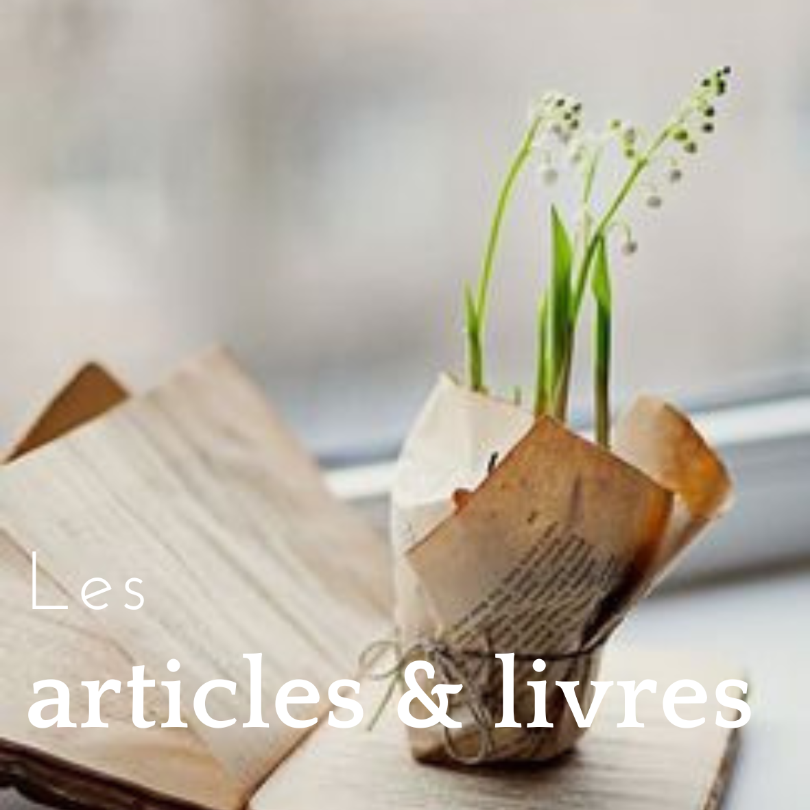 CENTRE-Dexperience-biocentrique-20-