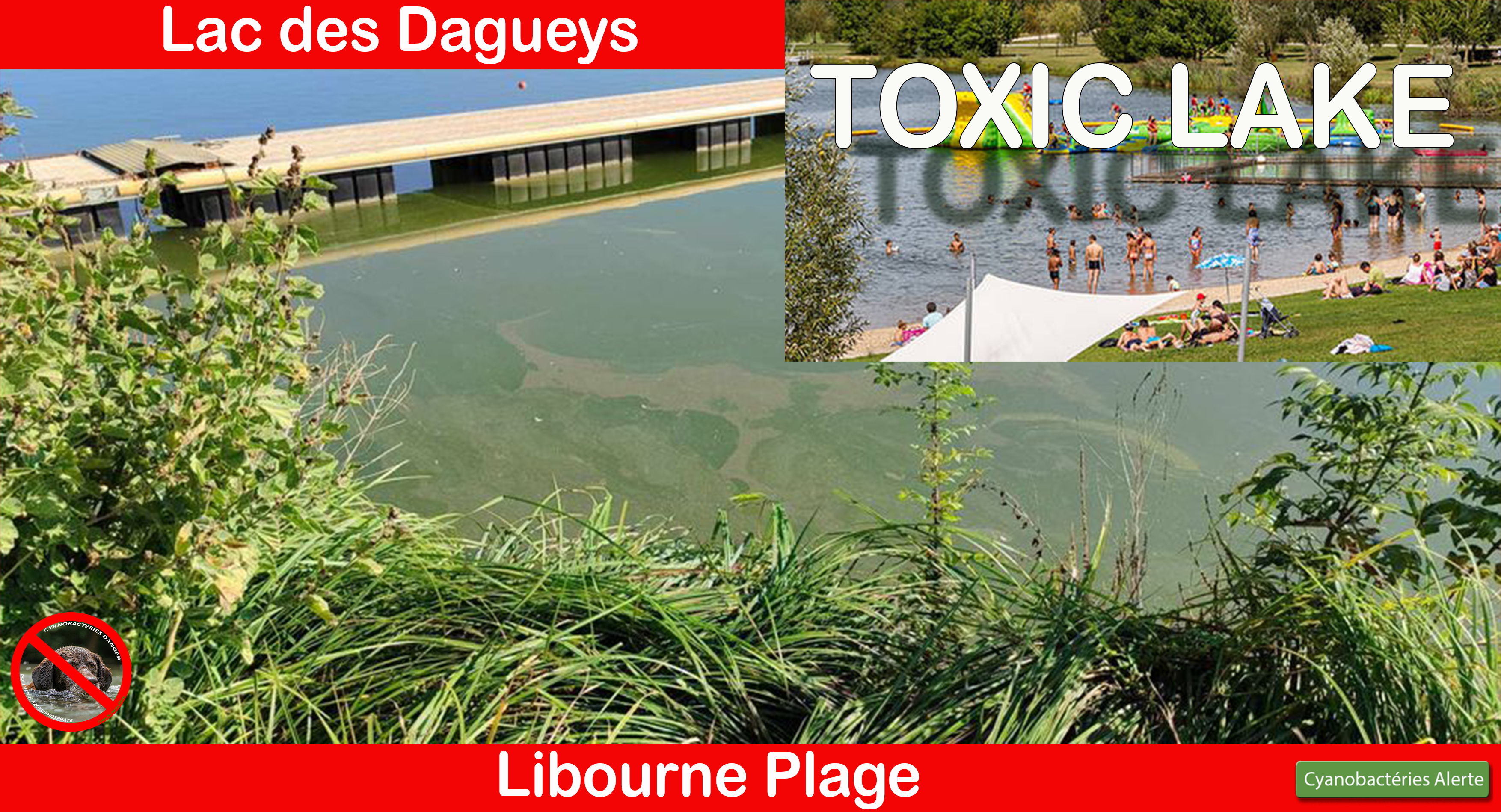 Libourne Plage- Une forte suspicion de proliferation de cyanobactéries