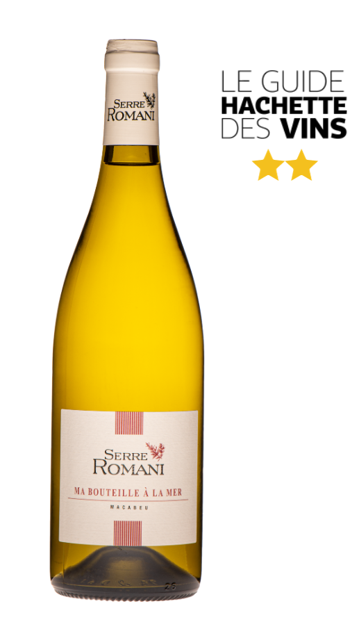 Bouteille-a-la-mer