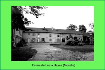 Ferme-de-lue-fond-3-15-10-contour