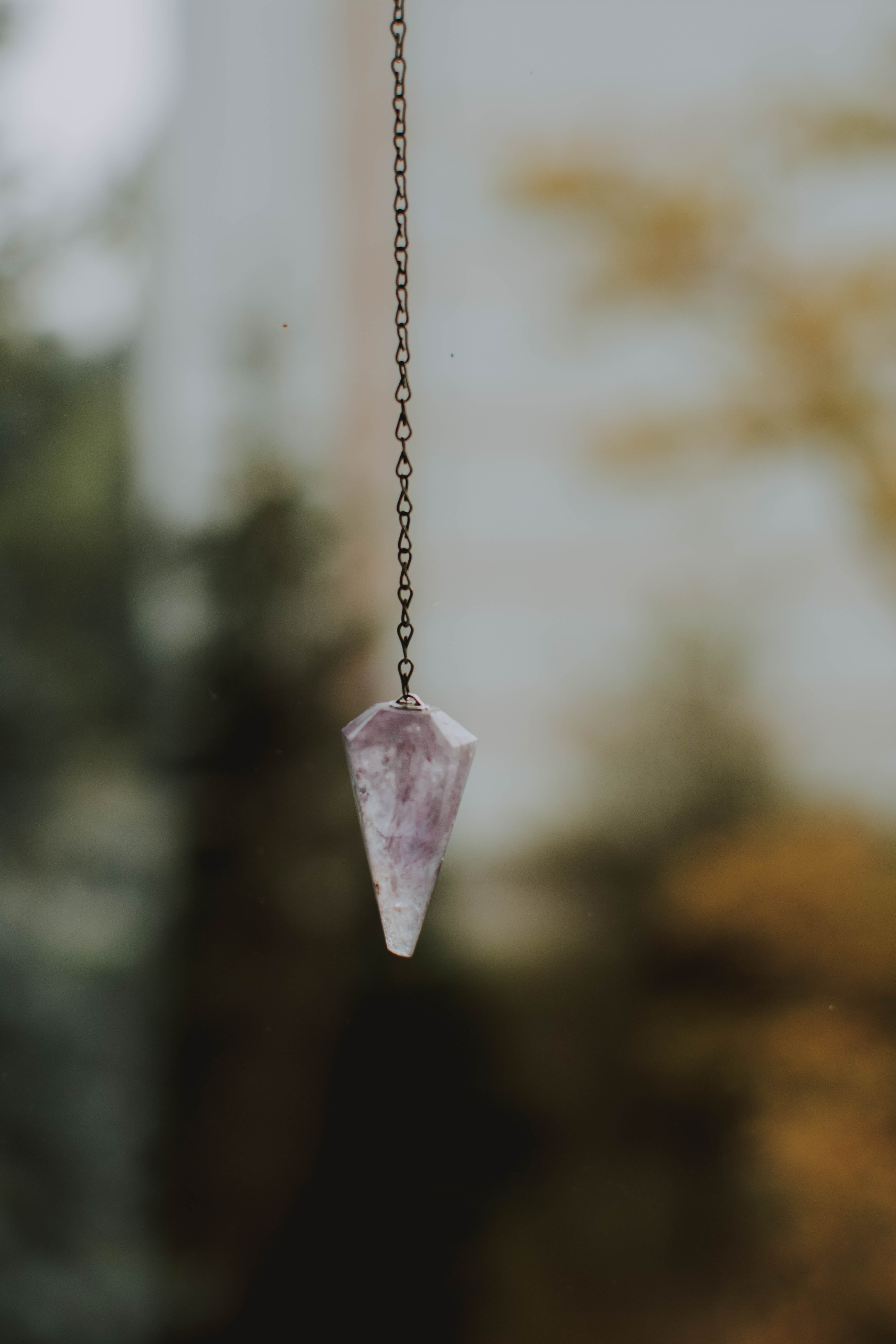 Pexels-lil-artsy-1540321