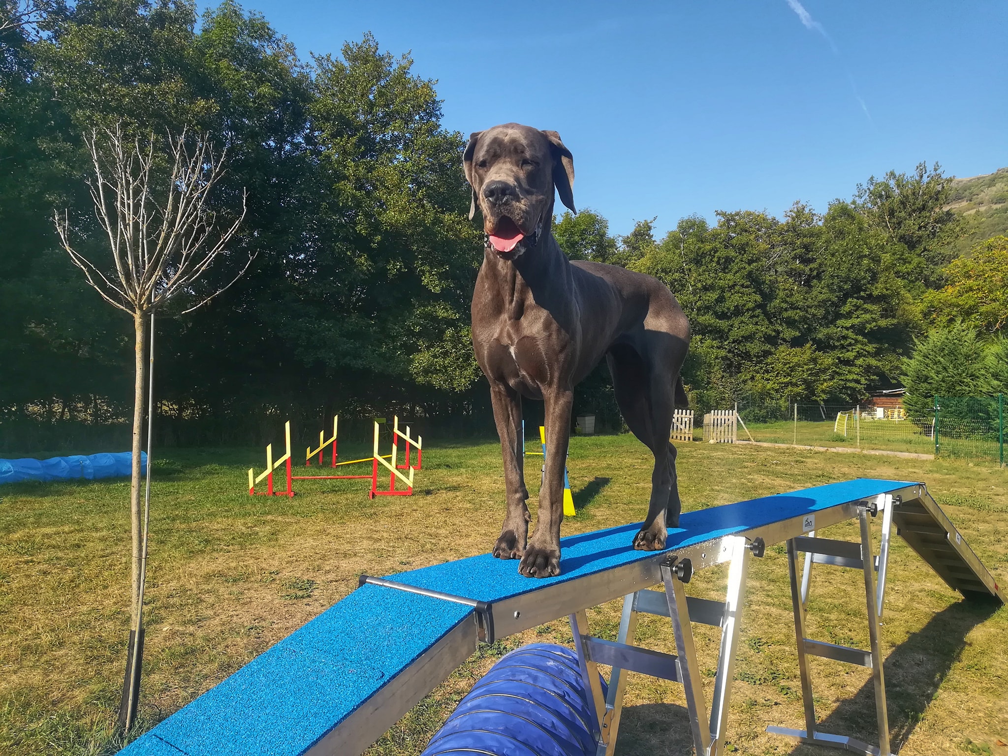 71737110 2344540202281913 2243533723922333696 o