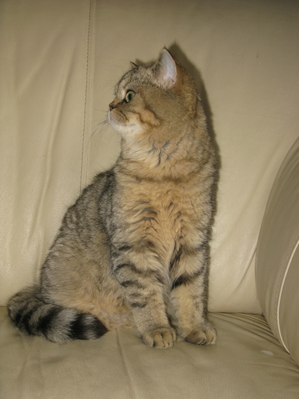 IMG 1223-1
