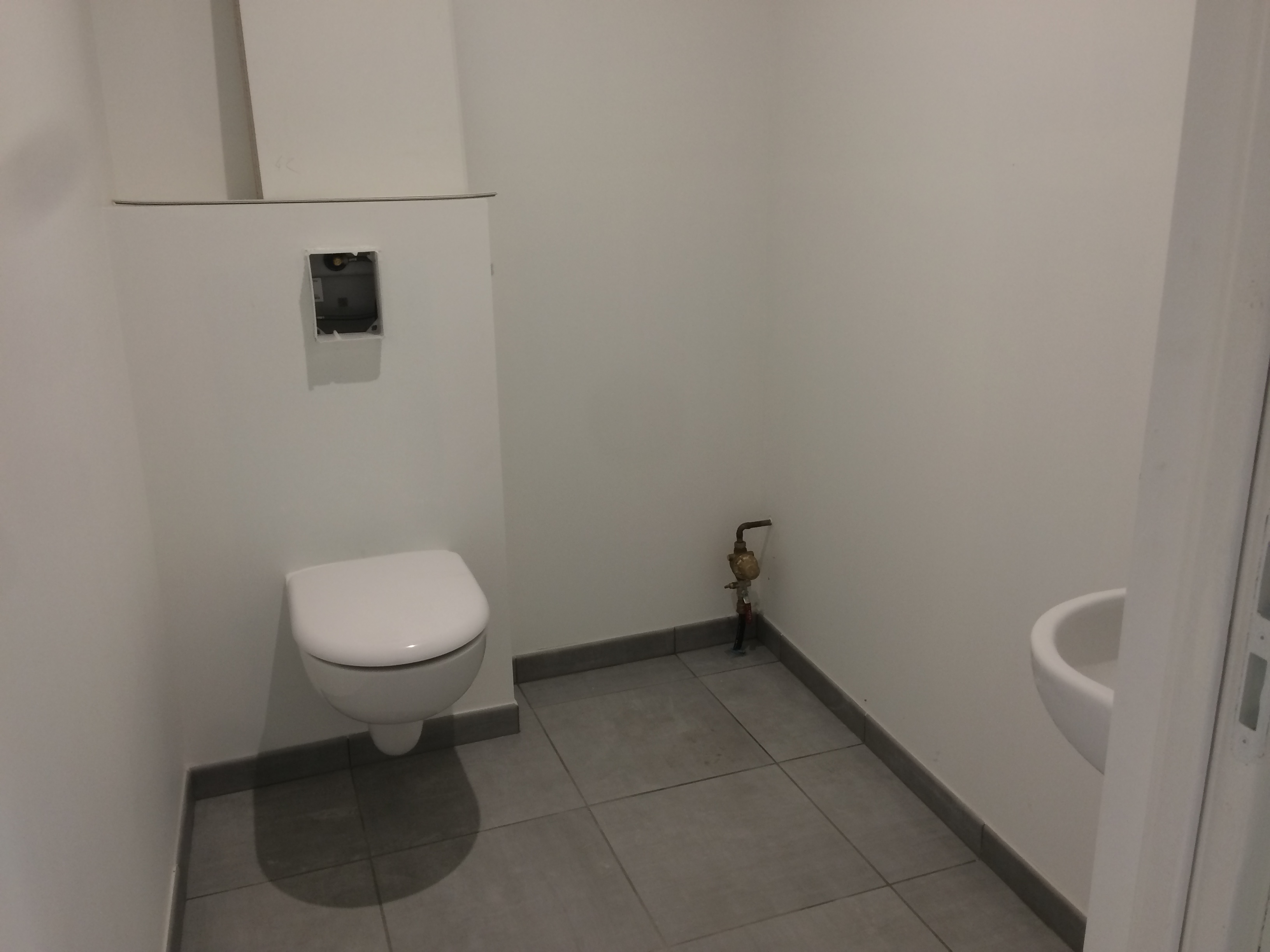 Img 3585