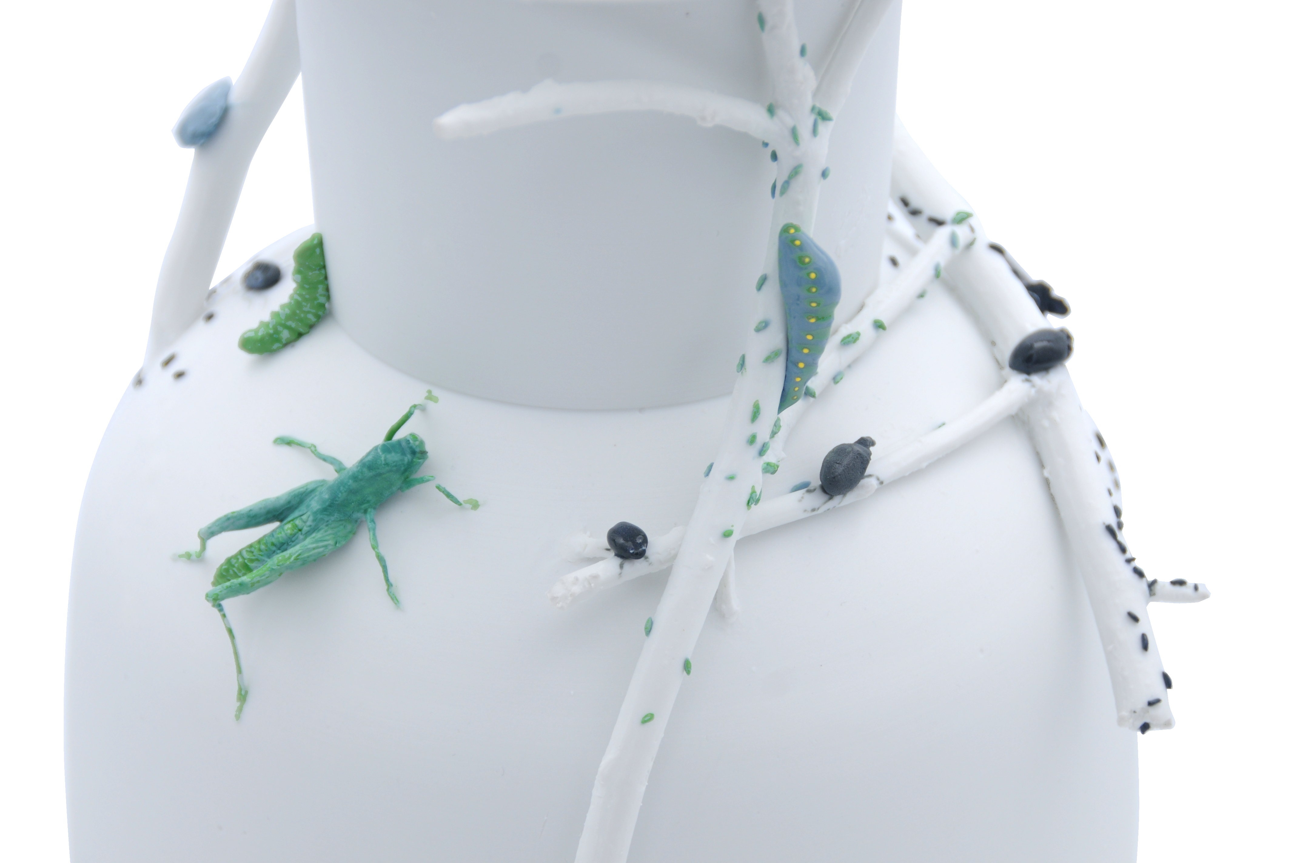 Entomologie - 2023 - 920€