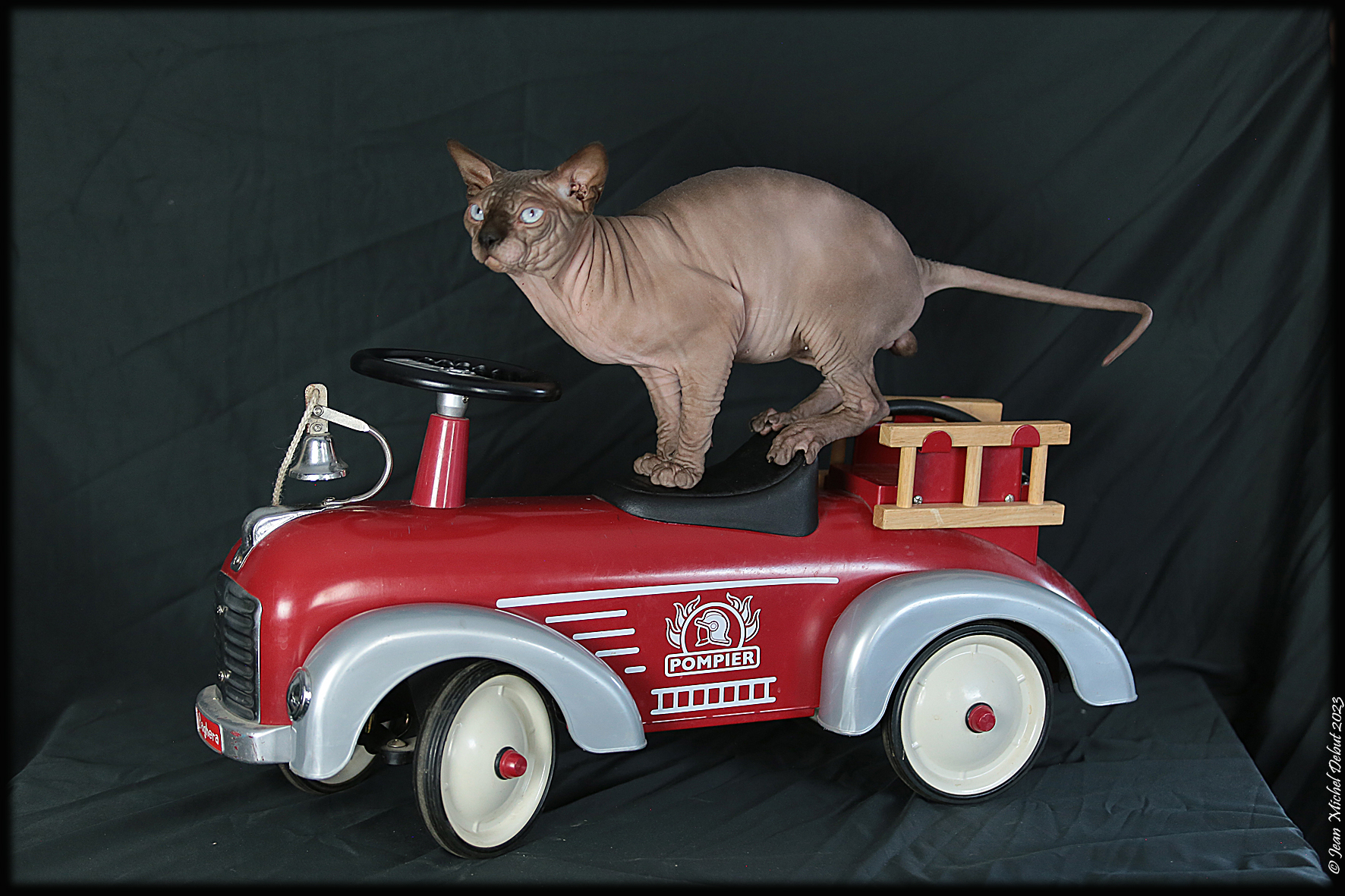 Sphynx2023 450