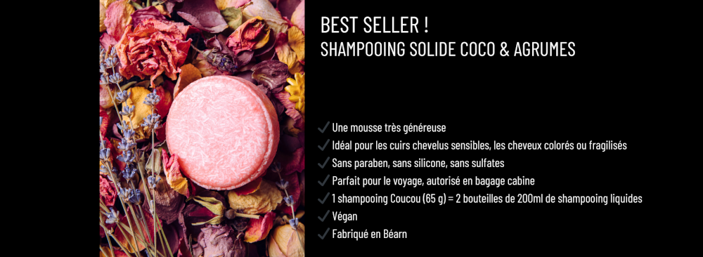 Solid-shampooing-best-seller-comp