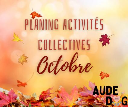 Planning des activités collectives d'Octobre