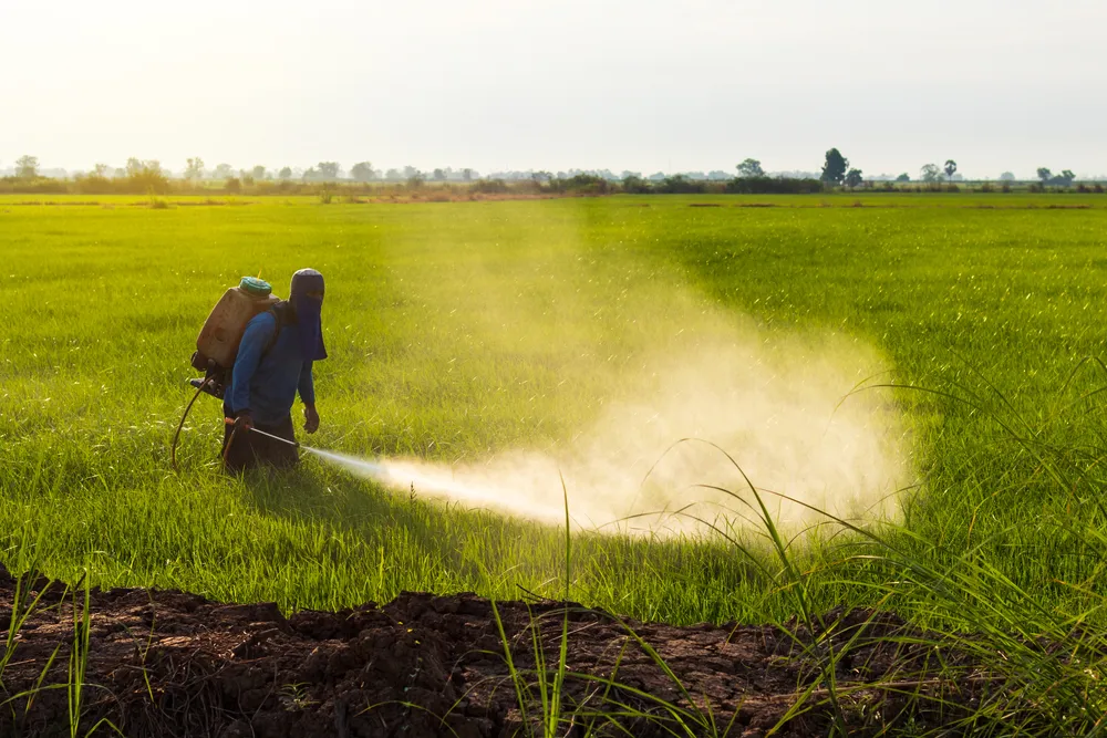 Les Pesticides Présents dans l'Eau du Robinet : Un Risque pour Notre Santé ?