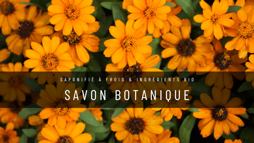 Coucou Bordes 64, savonnerie béarnaise, savon saponifié à froid, coucou savon, savon surgras, savon spiruline, savon saf, coucou savon, savon botaniques, ingrédients bio, savon bio, savon visage bio, savon corps bio, savon solide, coucou soap