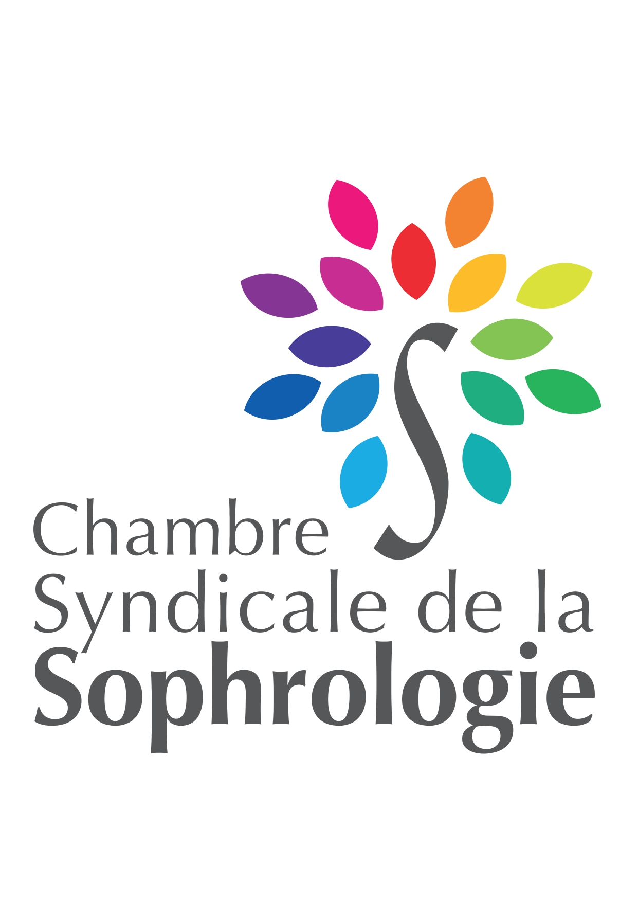 LOGO-CSS compressed page-0001
