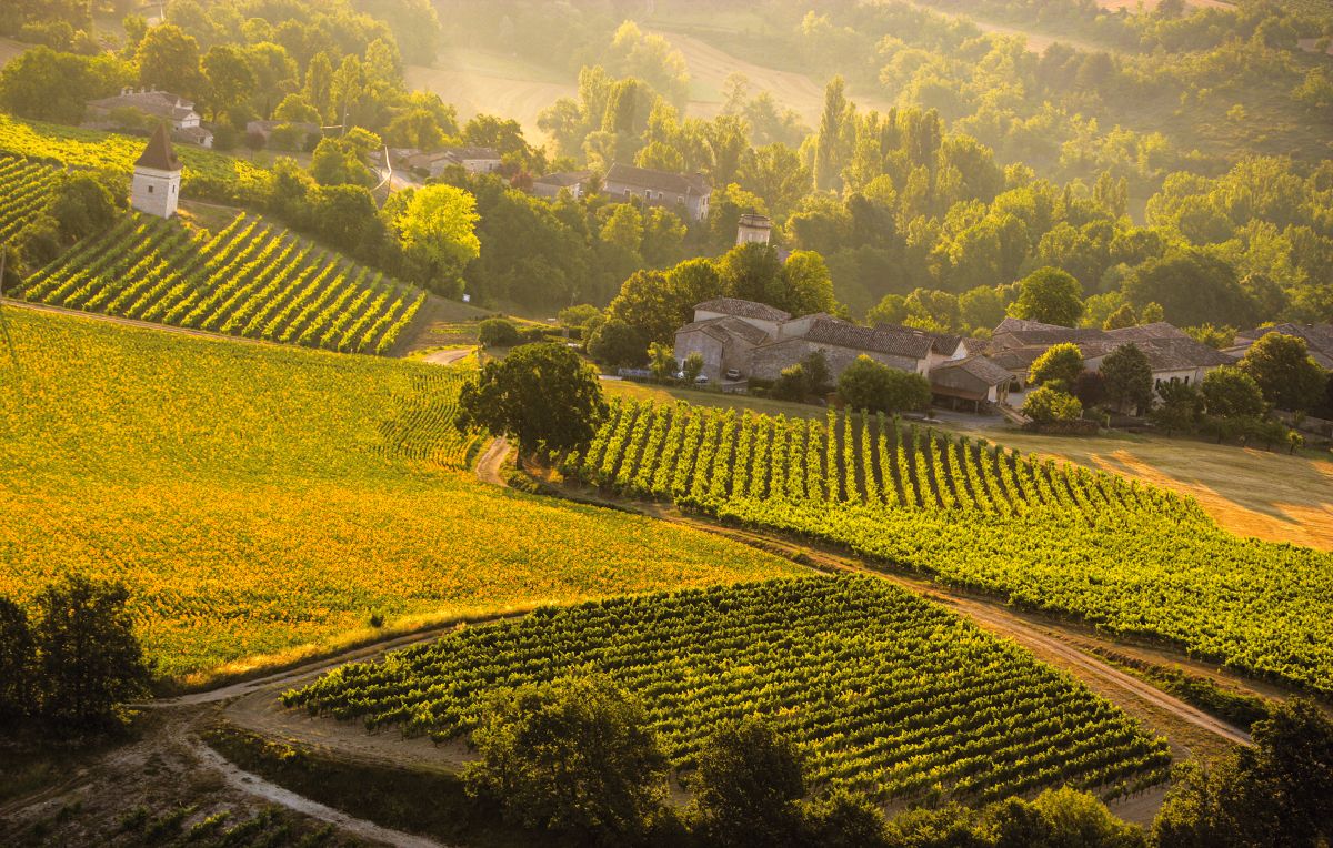 P16-17-Vue-du-ciel-Vignoble Andillac-D-Viet-tif-1200px-1