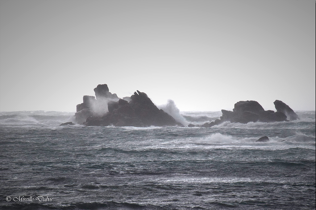 Dsc 0838 e