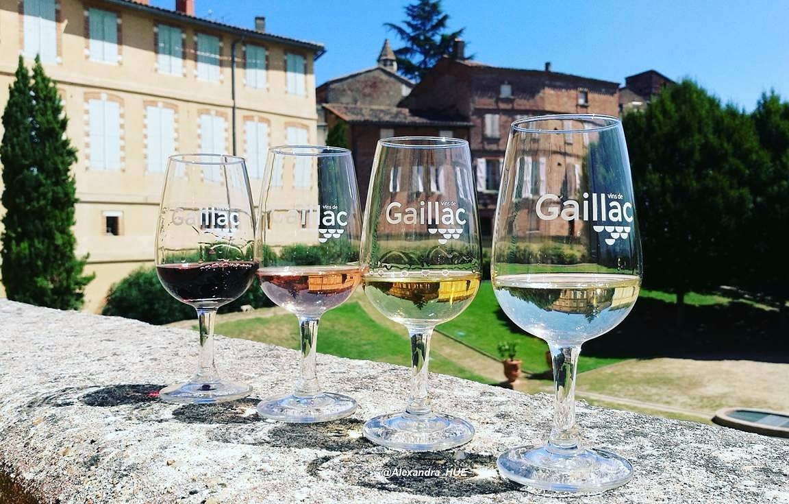 Les-couleurs-des-vins