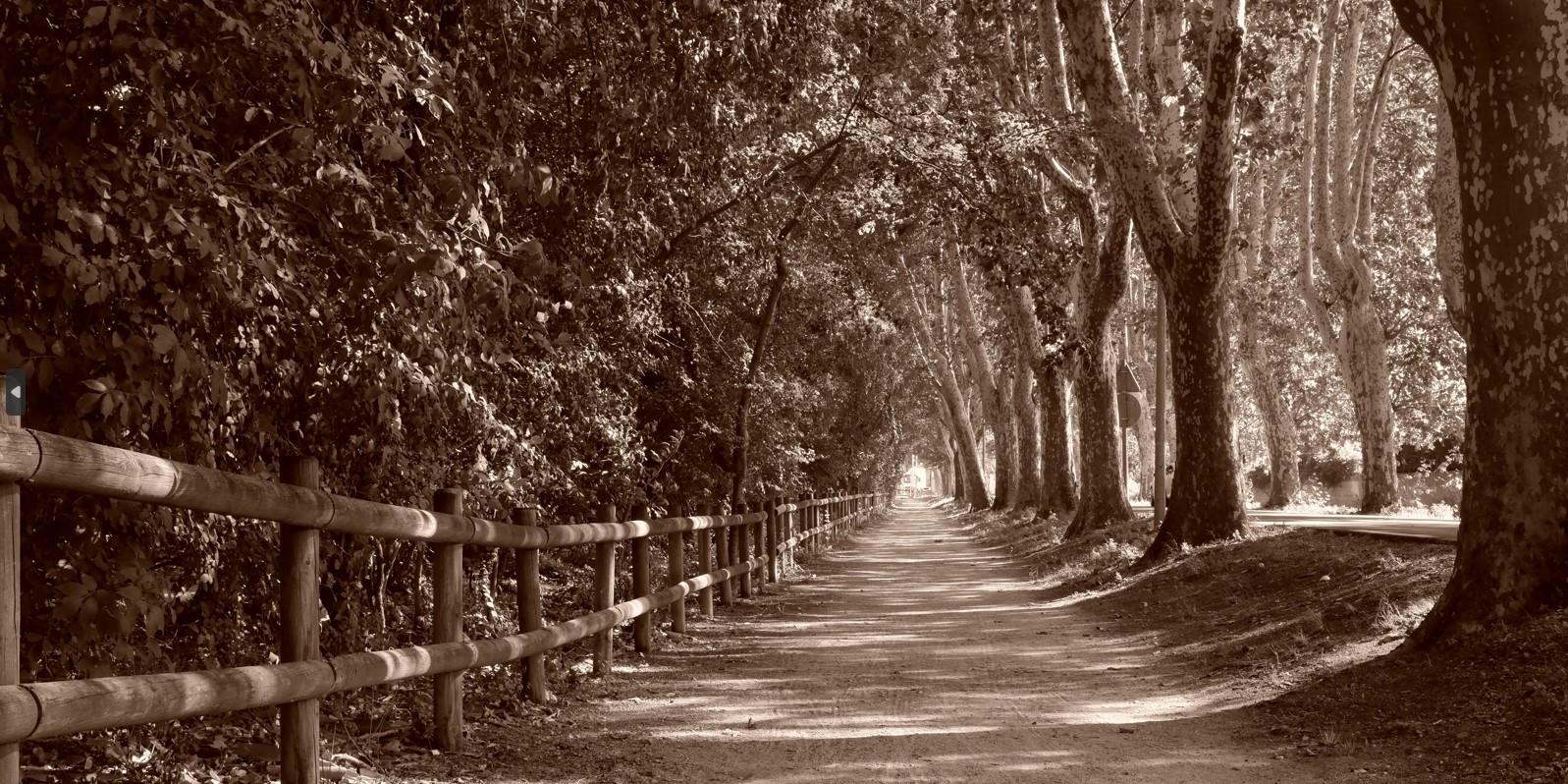 Capture d ecran 2023 08 04 202458