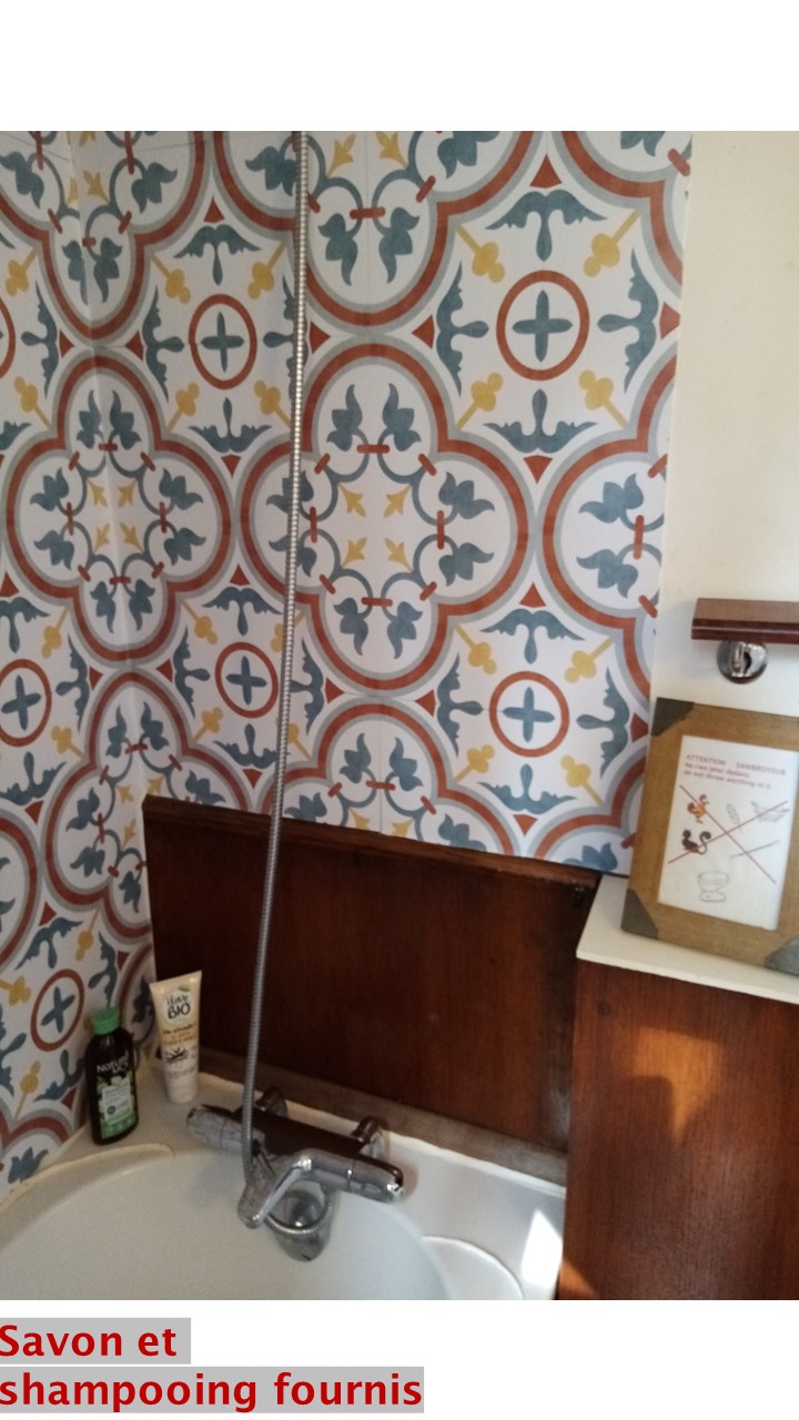 la douche avec savon et shampooing