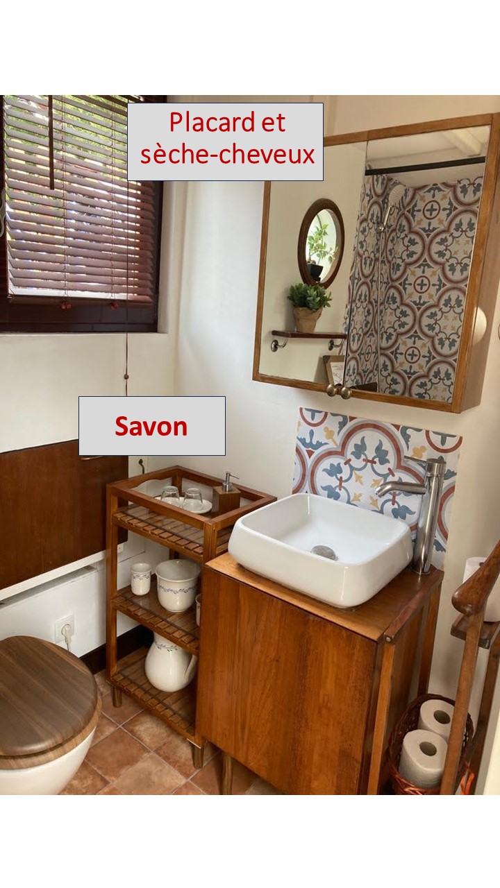 placard et sèche-cheveux dans la salle de bains
