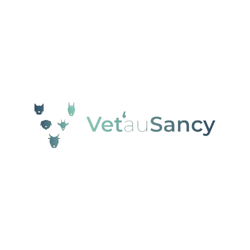 Logo 2-removebg-preview