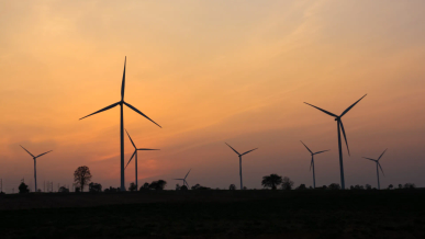 Champ d'éoliennes et couché de soleil