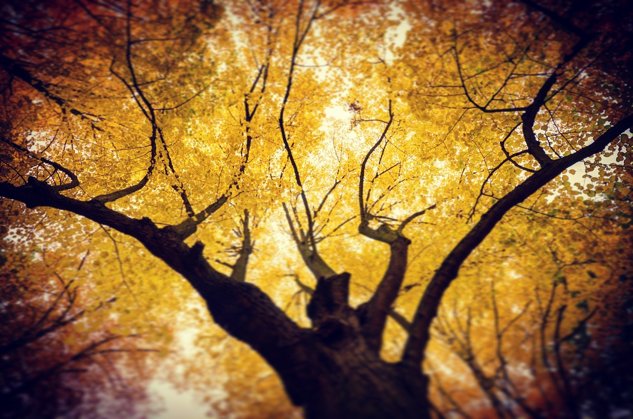 Maithe martins slider 2017 1