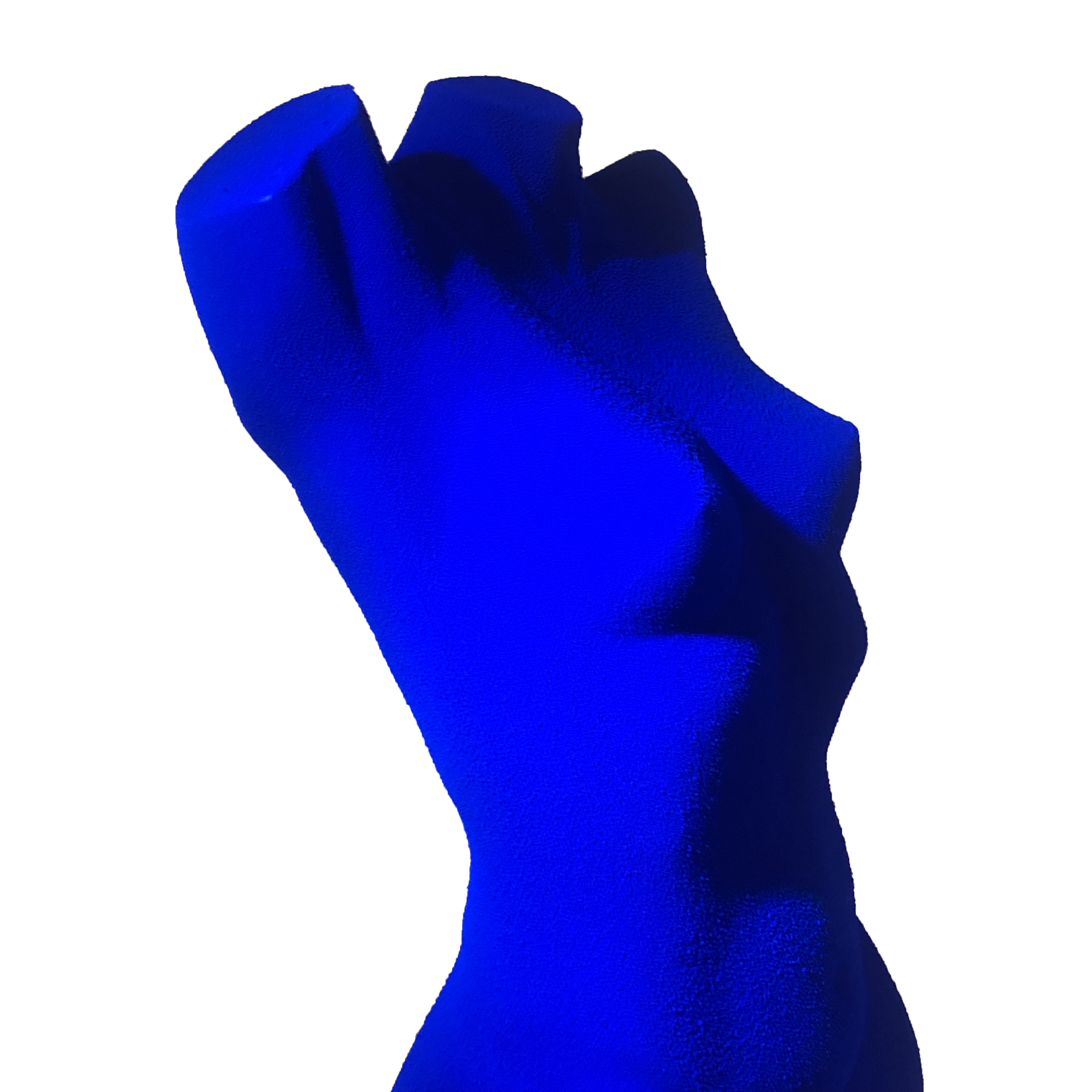 Img 2695