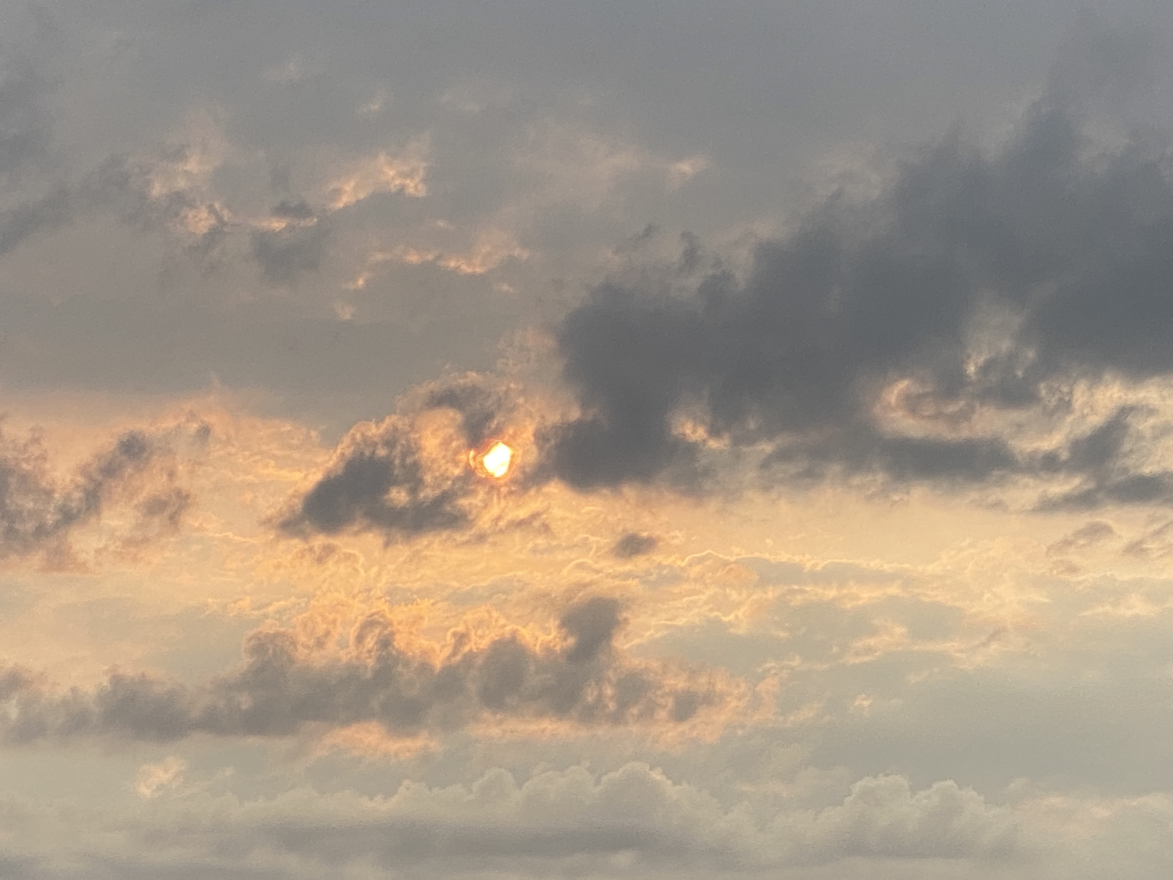 "La pause sacrée" Tara Brach 