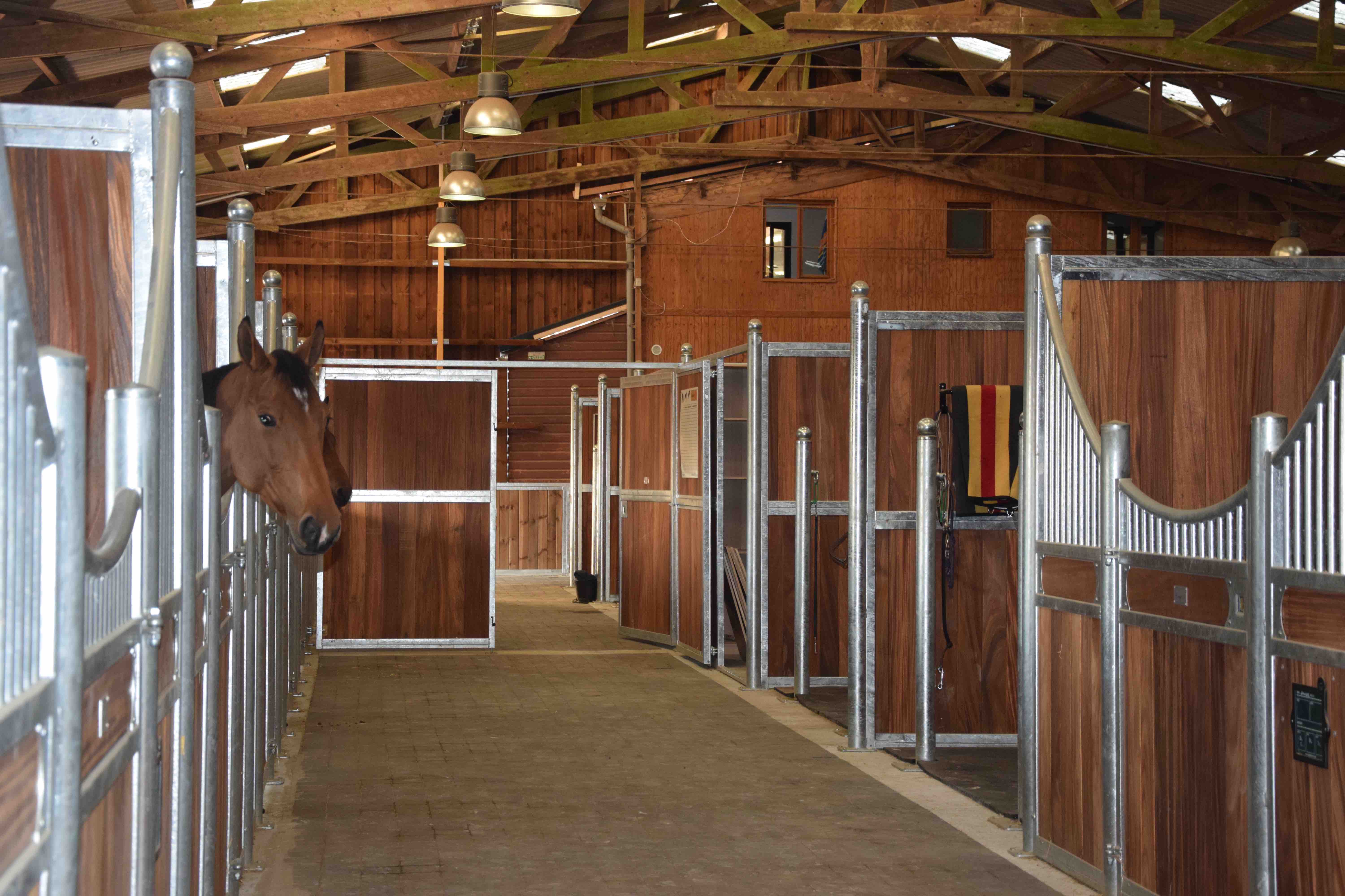 Haras de fontainebleau ecuries interieures cou