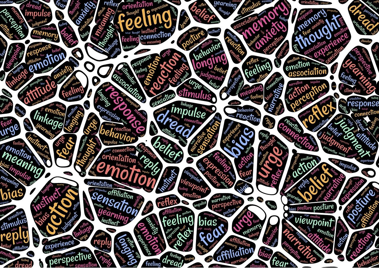 NeuroSciences : L'influence de notre cerveau !