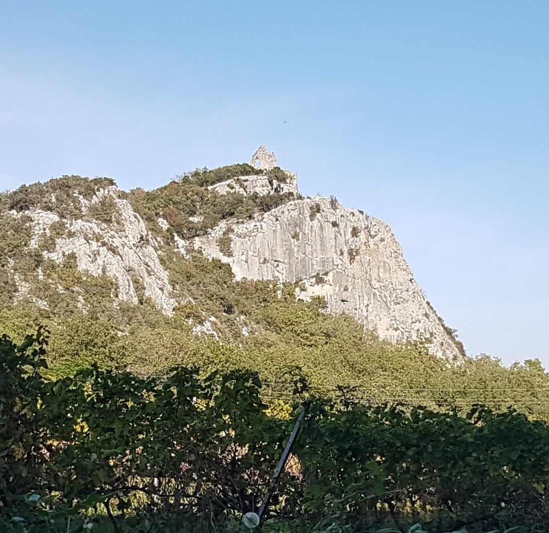 Resized 20231012 173436 7476
