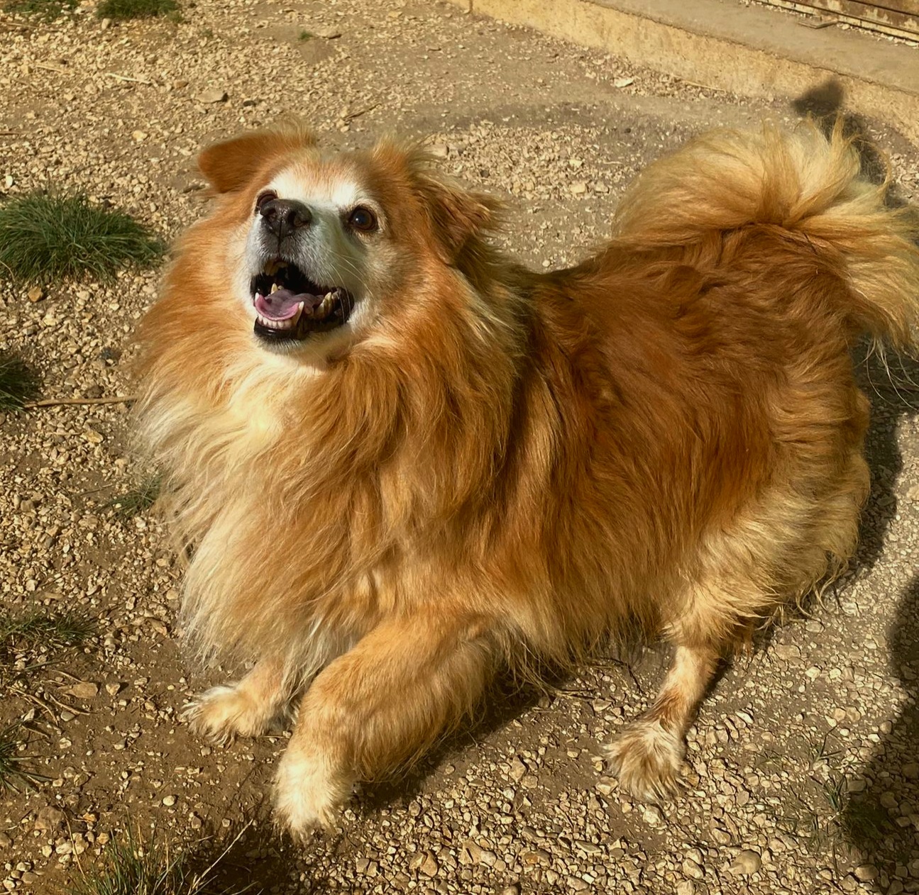 Marley