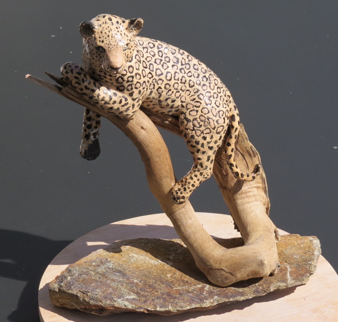 Leopard
