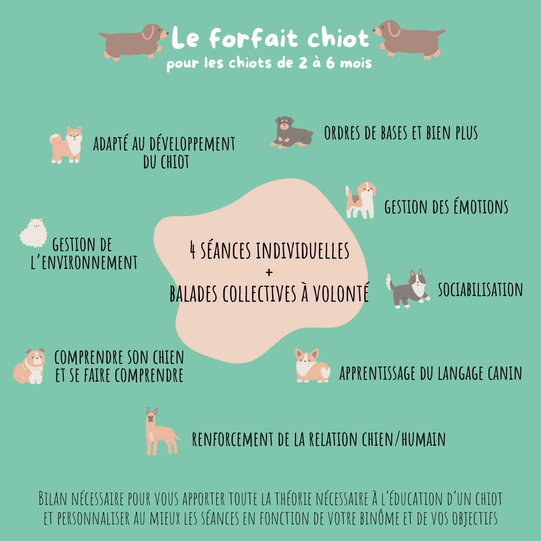Le forfait chiot Happy Canin