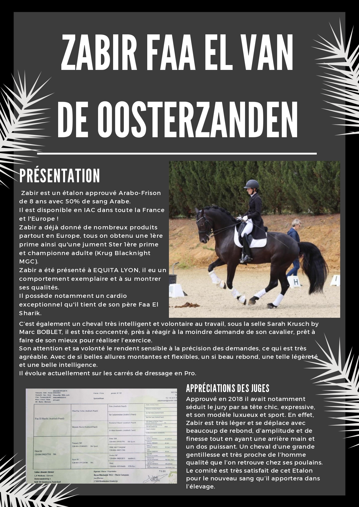 Fiche-Zabir page-0001