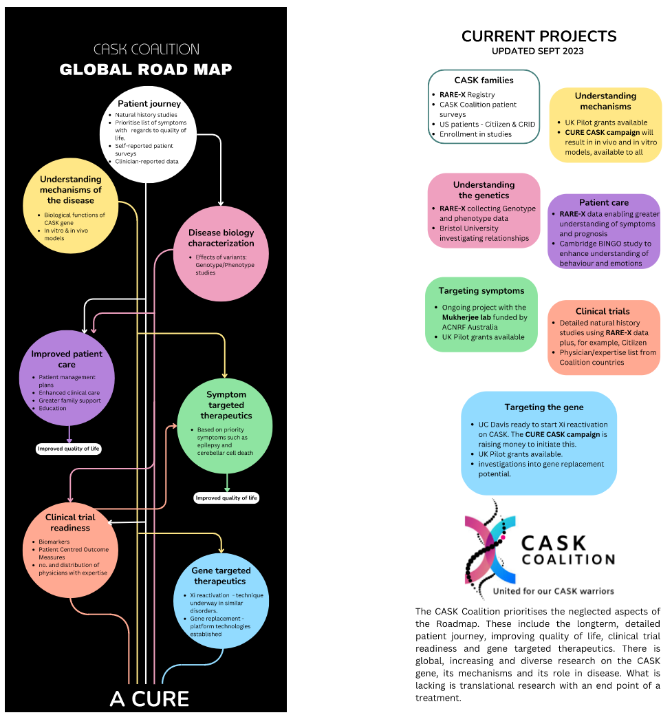 CASKCoalitionRoadMap