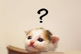 Interrogation-chat